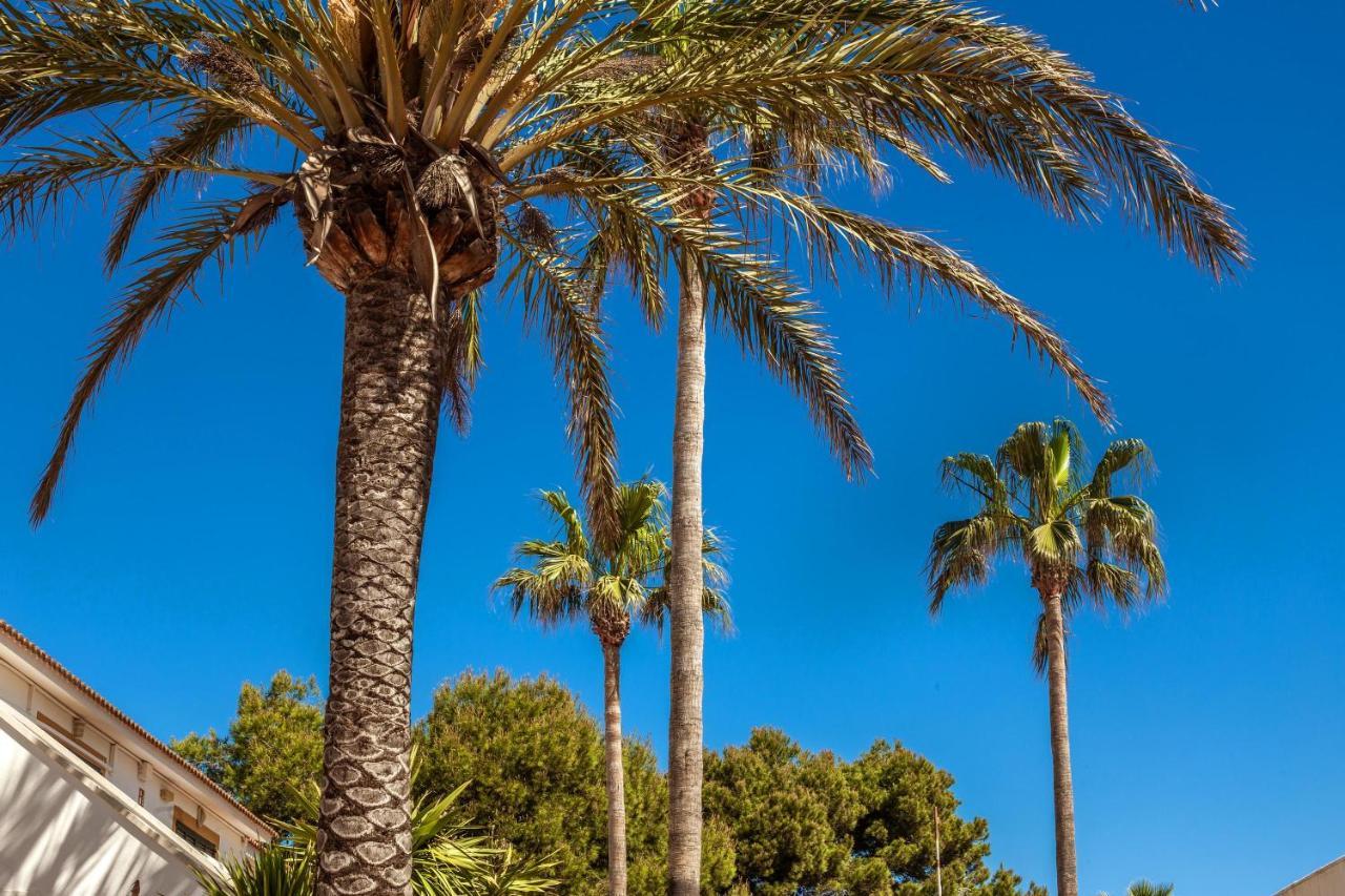 קאלאן בוש Villa Seve מראה חיצוני תמונה